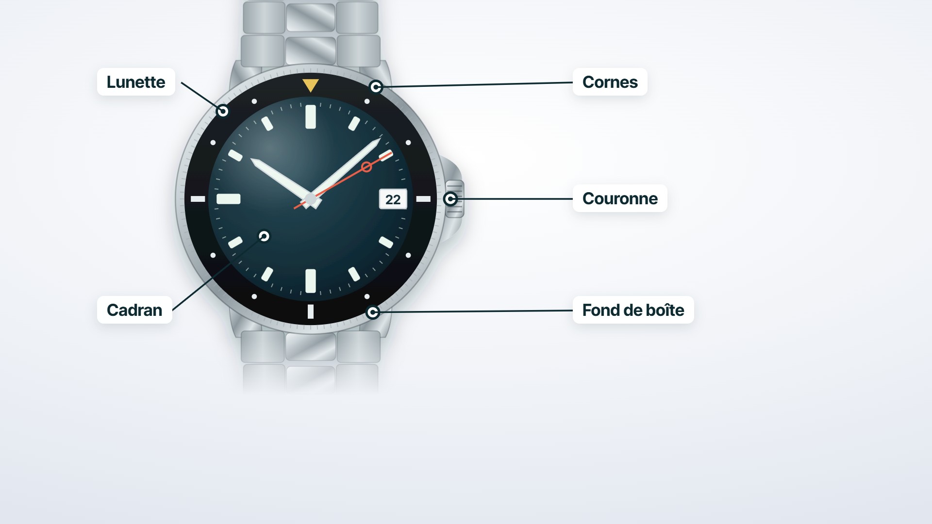 Anatomie d'une montre : le nom de chaque pièce, en vidéo