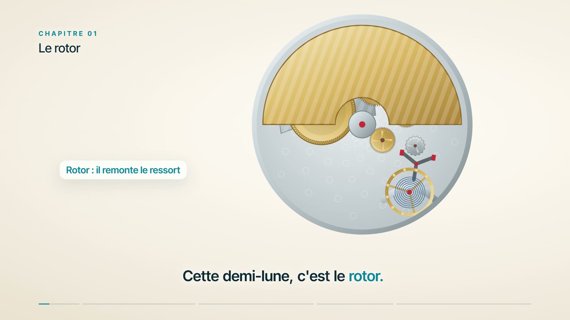 Comment marche une montre automatique ? Le mouvement expliqué en vidéo